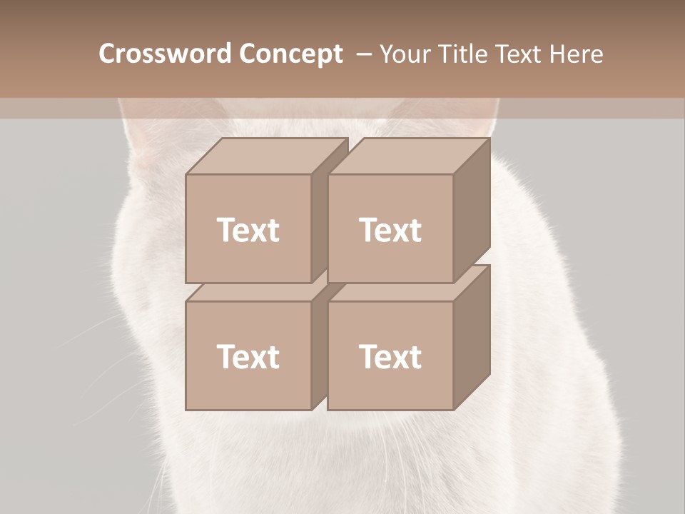 Humor Nobody Young PowerPoint Template