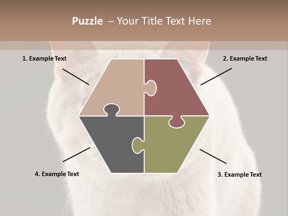 Humor Nobody Young PowerPoint Template