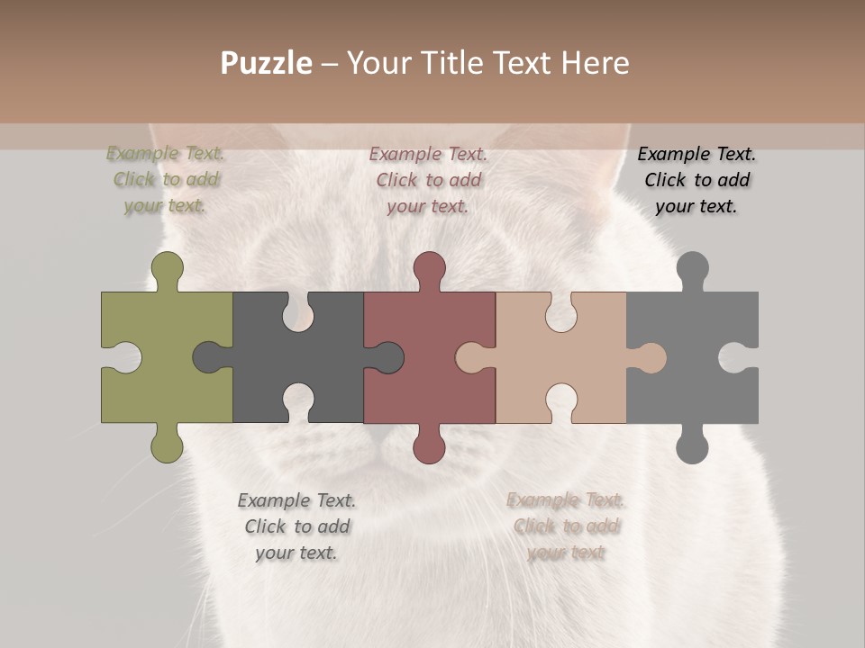 Humor Nobody Young PowerPoint Template