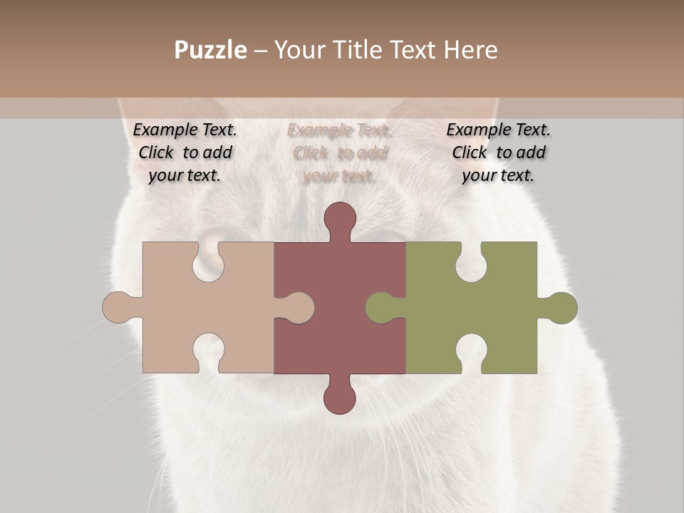 Humor Nobody Young PowerPoint Template