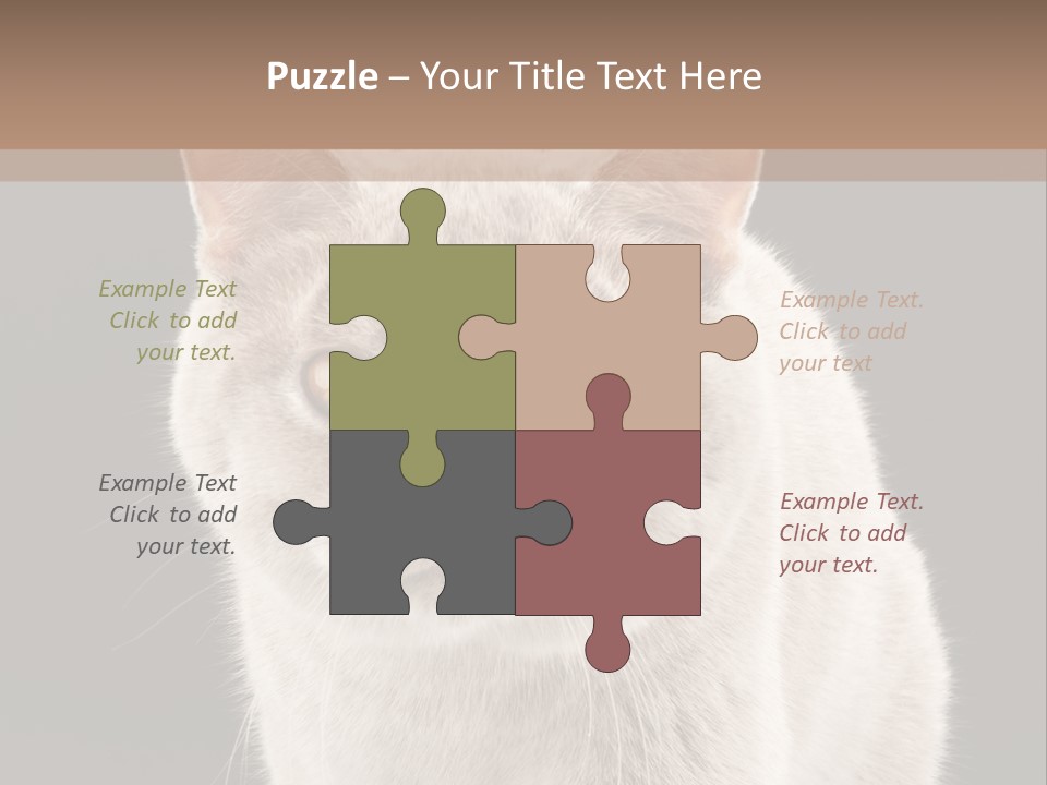 Humor Nobody Young PowerPoint Template