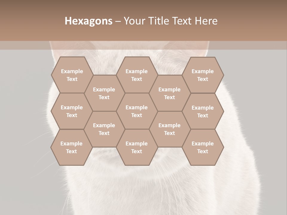 Humor Nobody Young PowerPoint Template