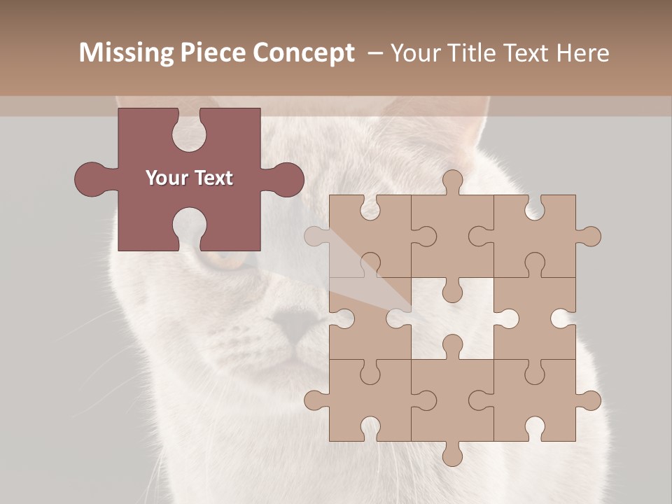 Humor Nobody Young PowerPoint Template