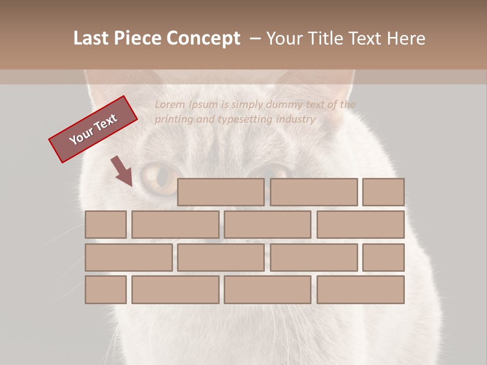 Humor Nobody Young PowerPoint Template