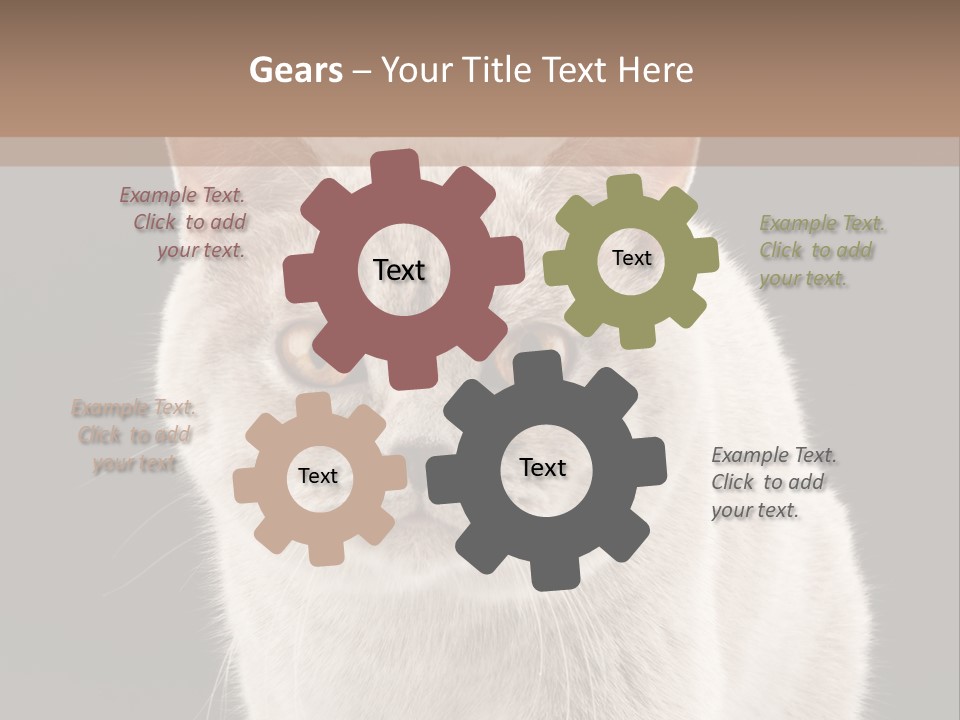 Humor Nobody Young PowerPoint Template