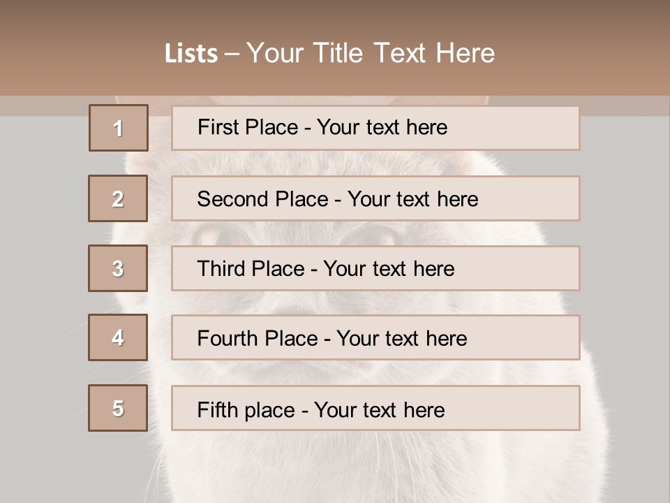 Humor Nobody Young PowerPoint Template