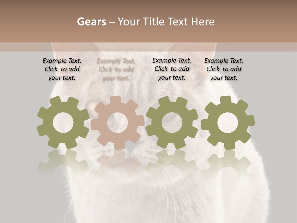 Humor Nobody Young PowerPoint Template