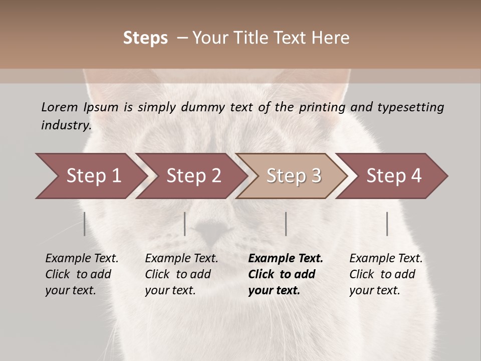 Humor Nobody Young PowerPoint Template