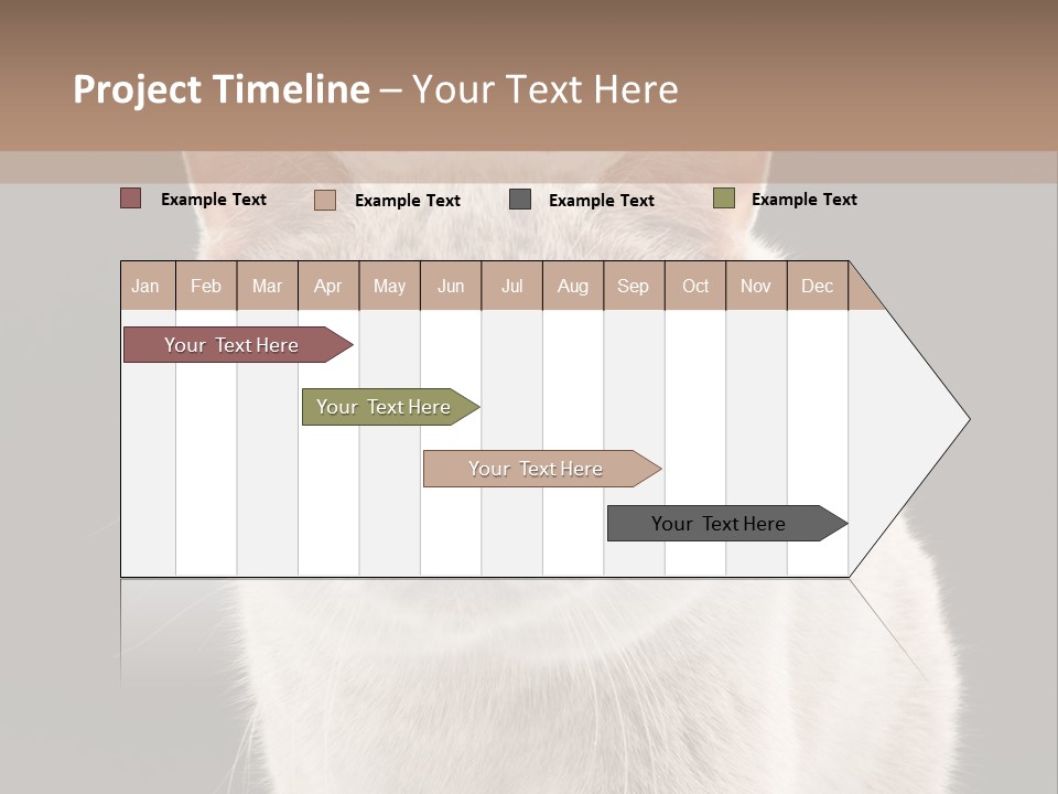 Humor Nobody Young PowerPoint Template