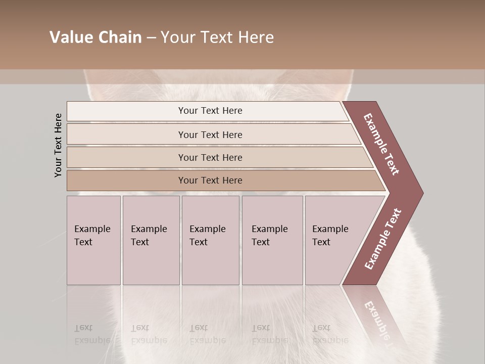 Humor Nobody Young PowerPoint Template