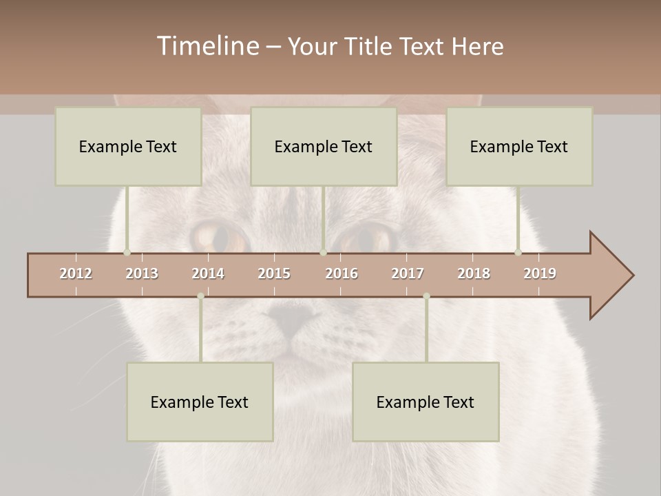Humor Nobody Young PowerPoint Template