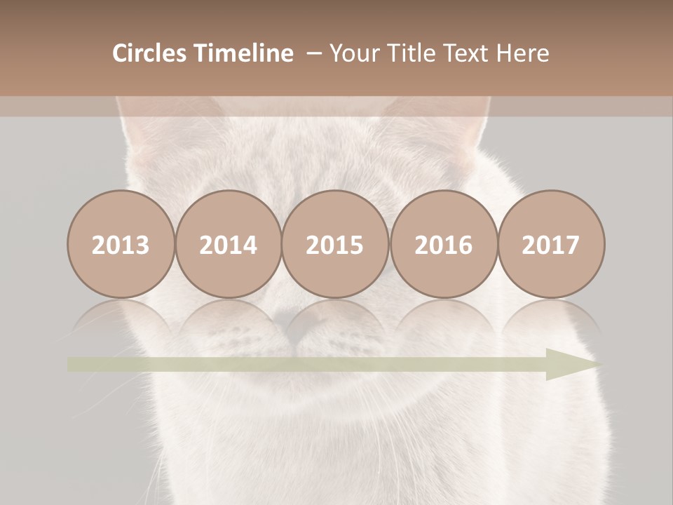 Humor Nobody Young PowerPoint Template