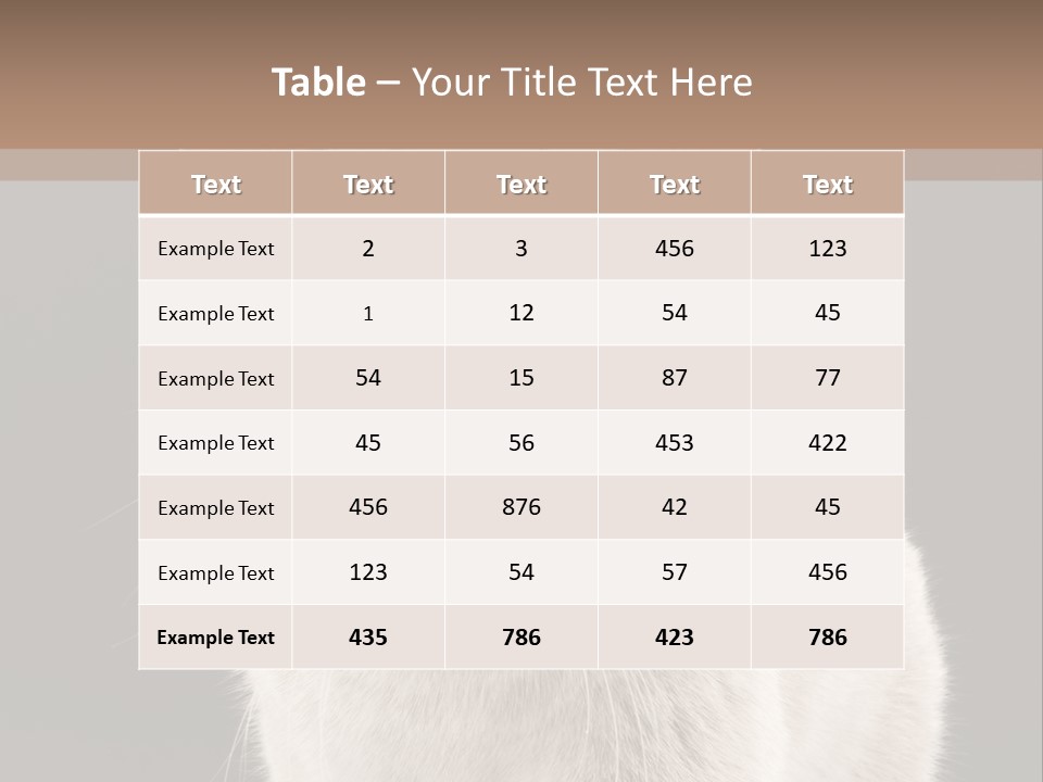 Humor Nobody Young PowerPoint Template