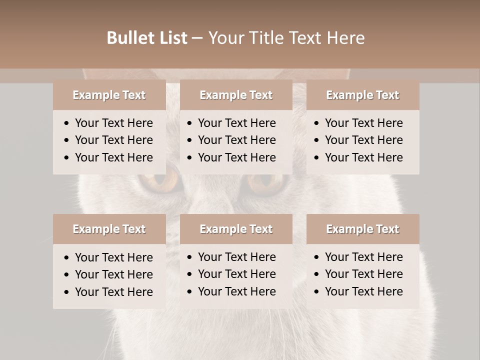 Humor Nobody Young PowerPoint Template
