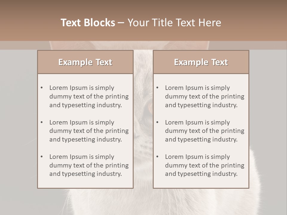 Humor Nobody Young PowerPoint Template
