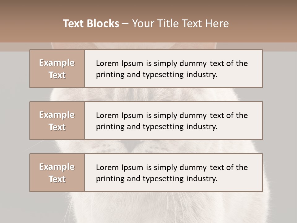 Humor Nobody Young PowerPoint Template