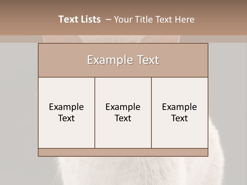 Humor Nobody Young PowerPoint Template