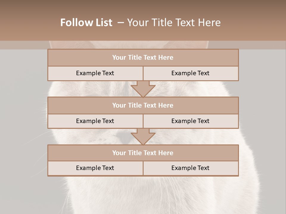 Humor Nobody Young PowerPoint Template
