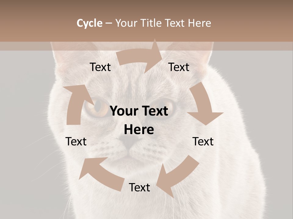 Humor Nobody Young PowerPoint Template