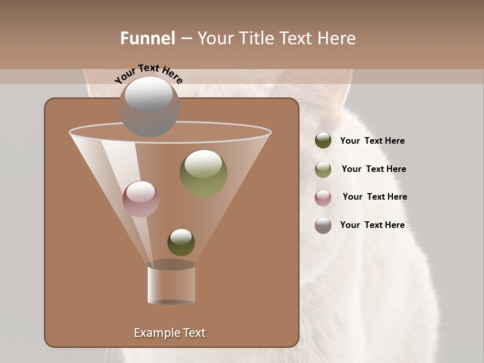 Humor Nobody Young PowerPoint Template