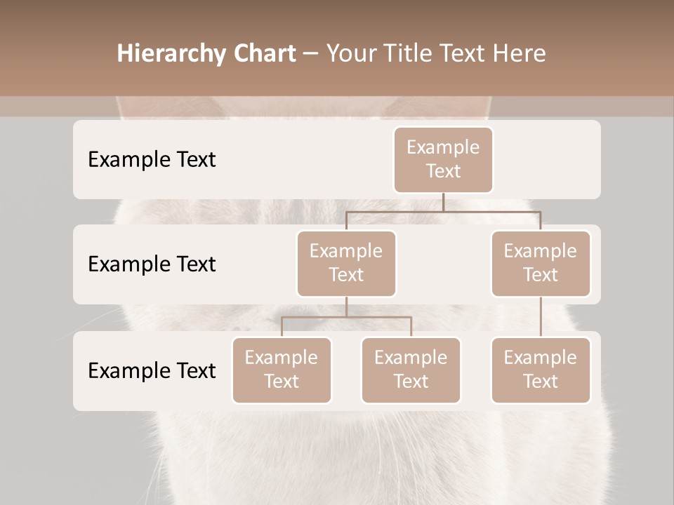 Humor Nobody Young PowerPoint Template