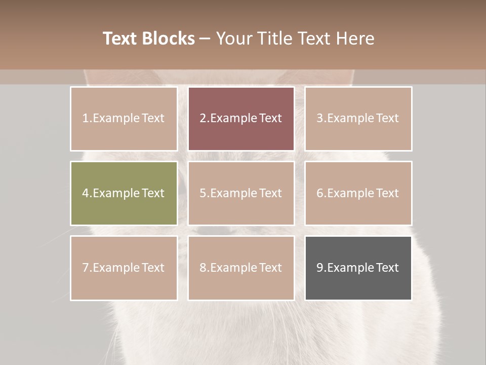 Humor Nobody Young PowerPoint Template