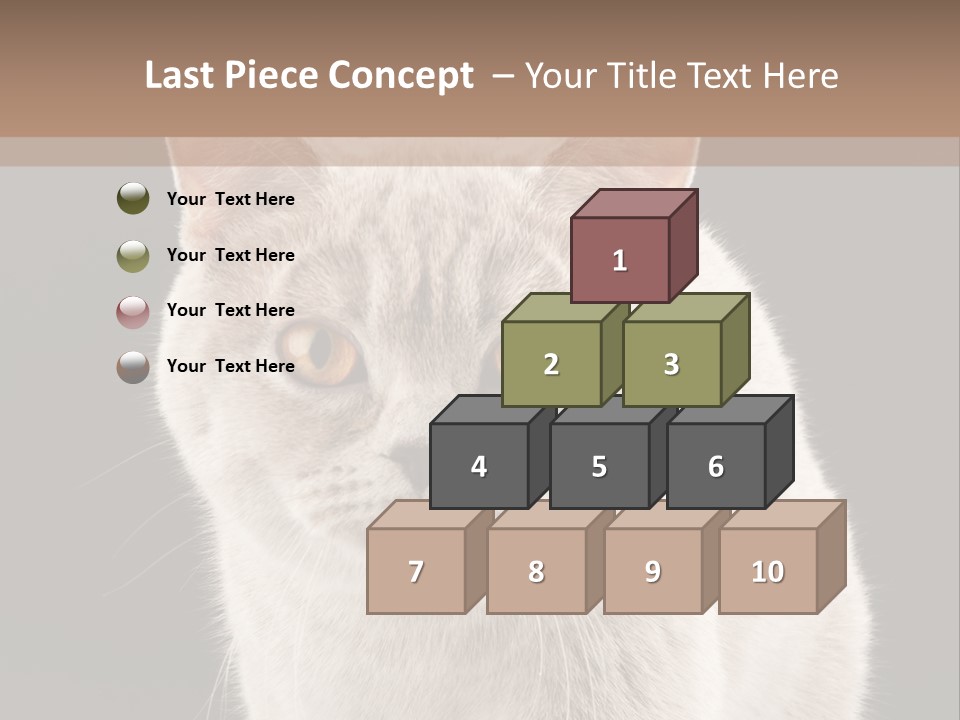 Humor Nobody Young PowerPoint Template
