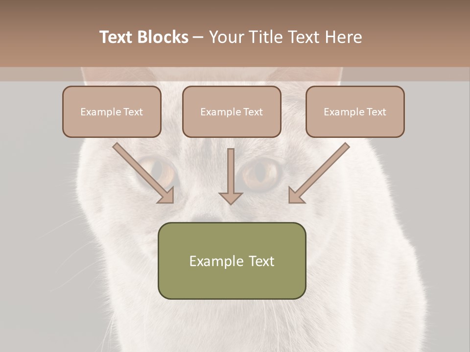 Humor Nobody Young PowerPoint Template