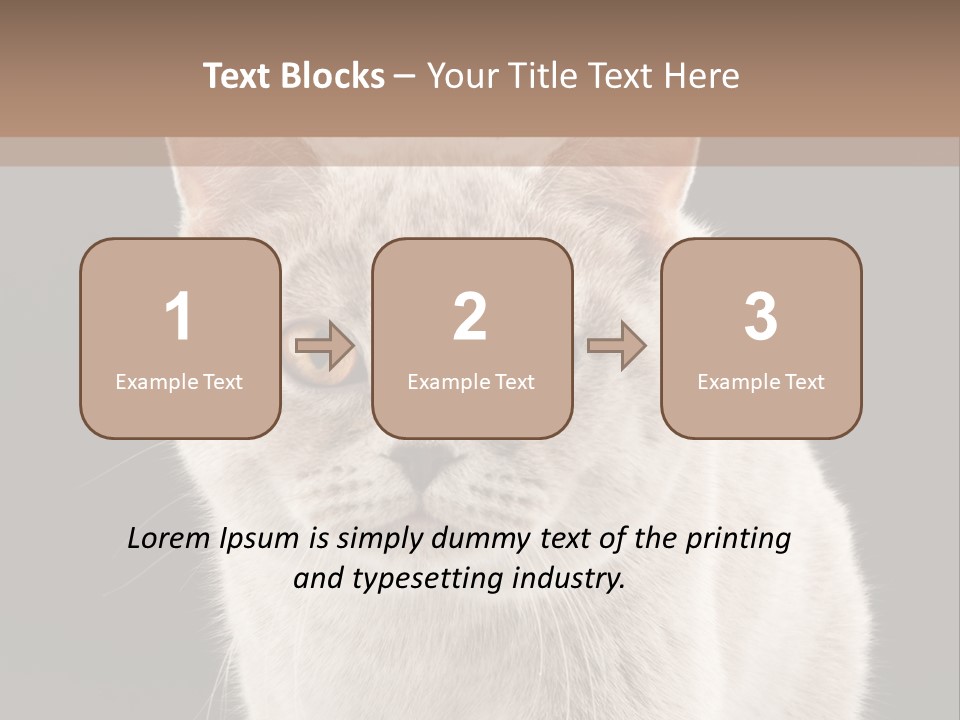 Humor Nobody Young PowerPoint Template
