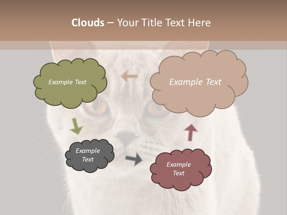 Humor Nobody Young PowerPoint Template