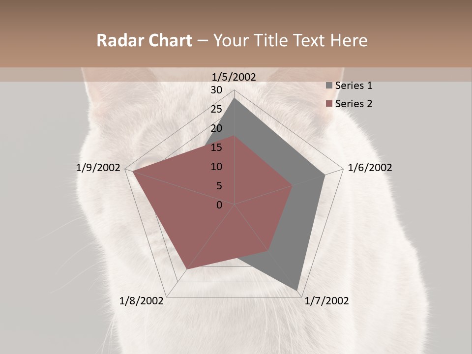 Humor Nobody Young PowerPoint Template