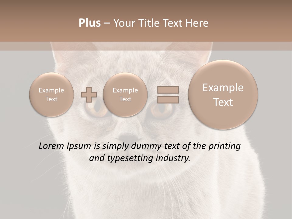 Humor Nobody Young PowerPoint Template