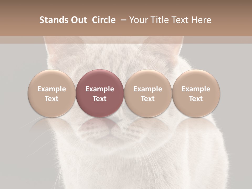 Humor Nobody Young PowerPoint Template