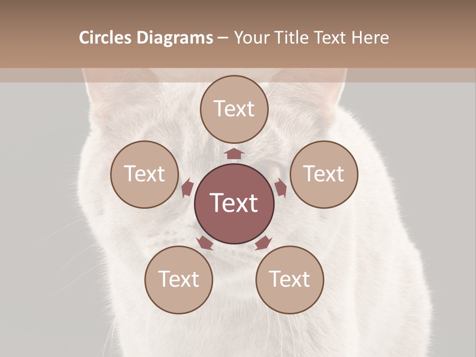 Humor Nobody Young PowerPoint Template