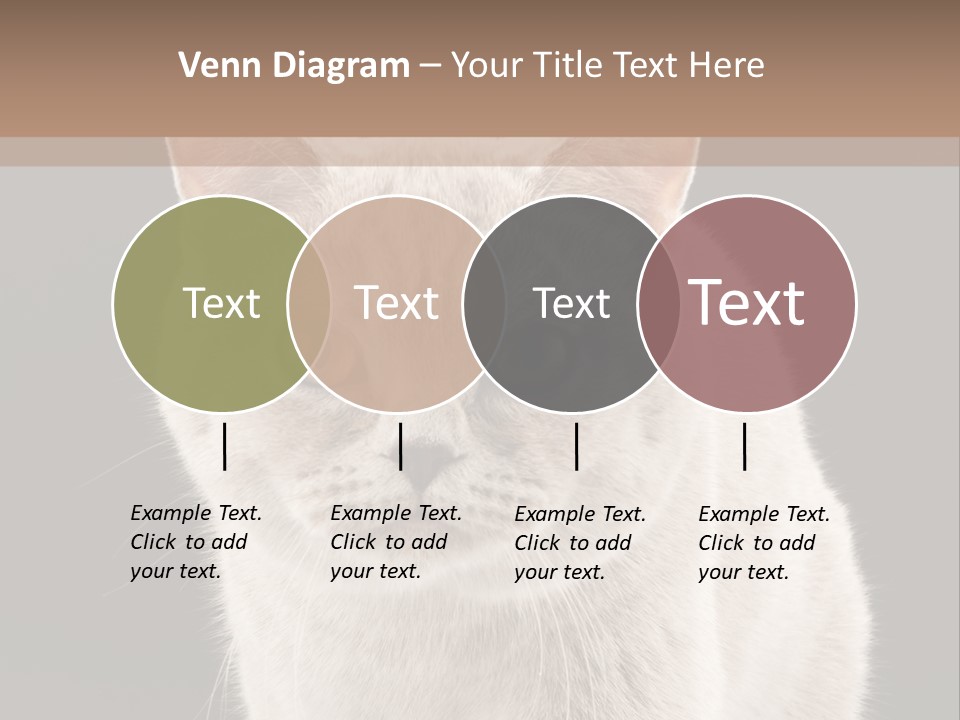 Humor Nobody Young PowerPoint Template