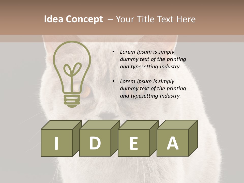 Humor Nobody Young PowerPoint Template