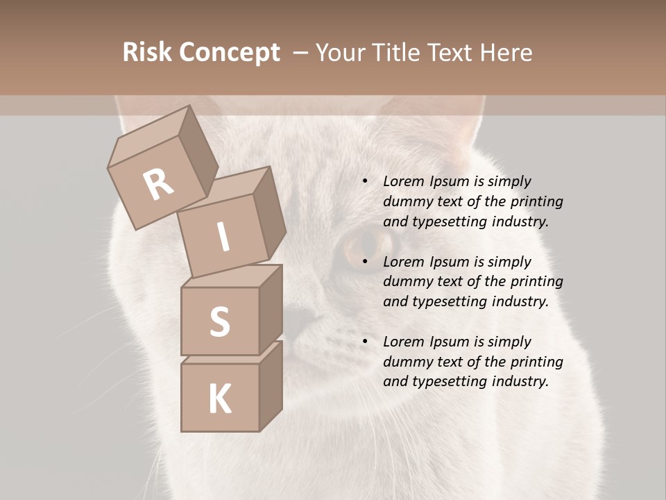 Humor Nobody Young PowerPoint Template