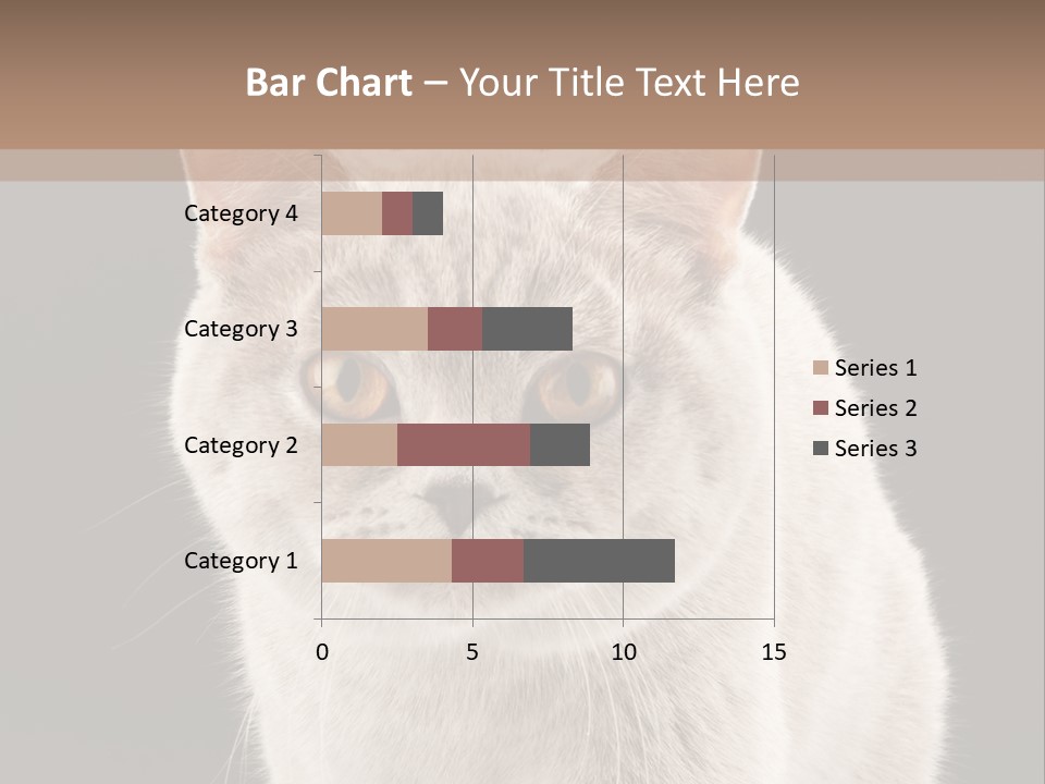 Humor Nobody Young PowerPoint Template
