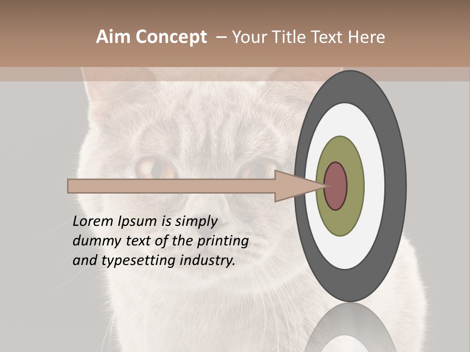 Humor Nobody Young PowerPoint Template