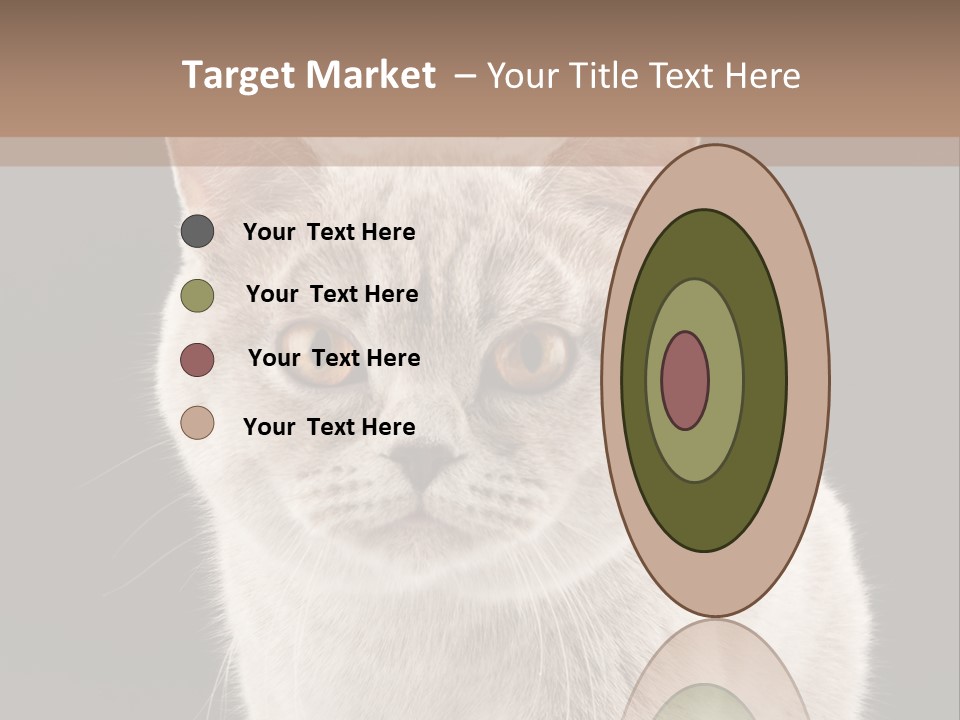 Humor Nobody Young PowerPoint Template