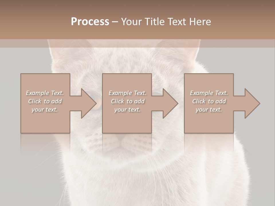 Humor Nobody Young PowerPoint Template