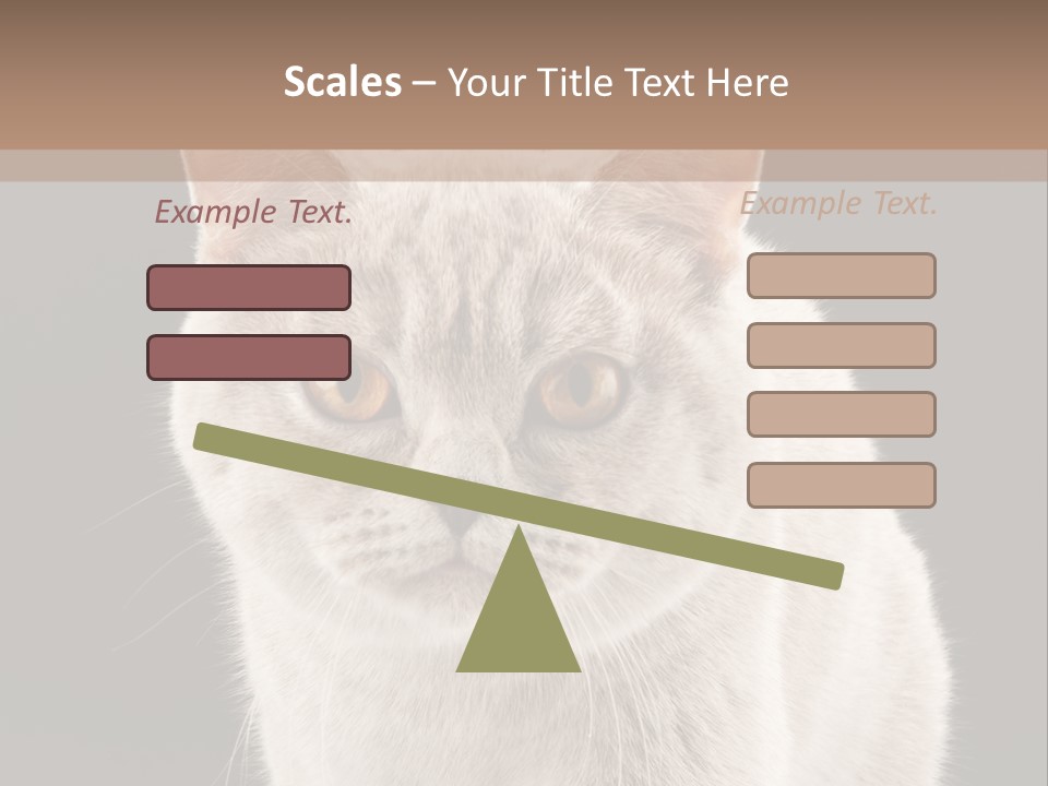Humor Nobody Young PowerPoint Template