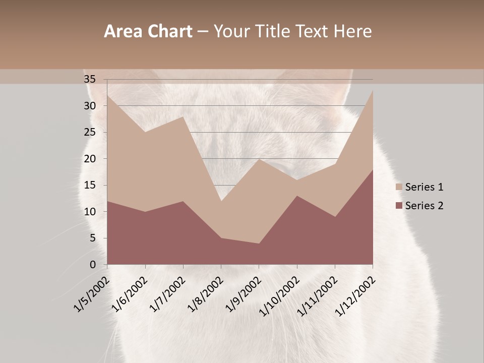 Humor Nobody Young PowerPoint Template