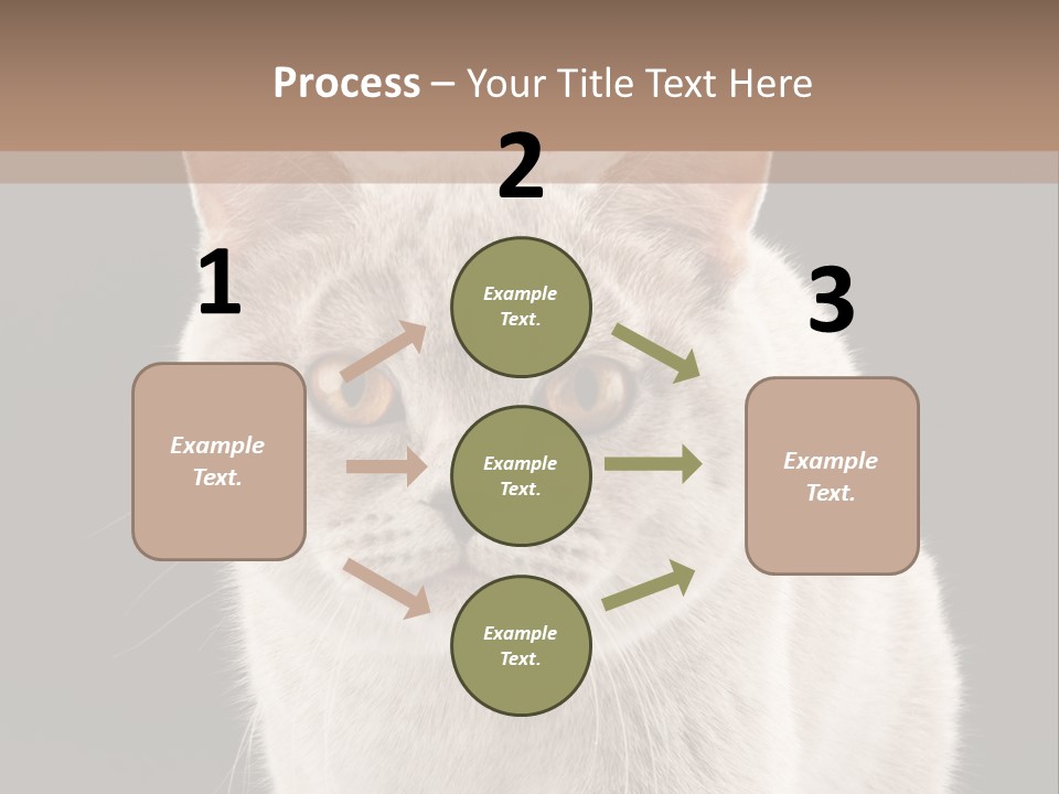 Humor Nobody Young PowerPoint Template