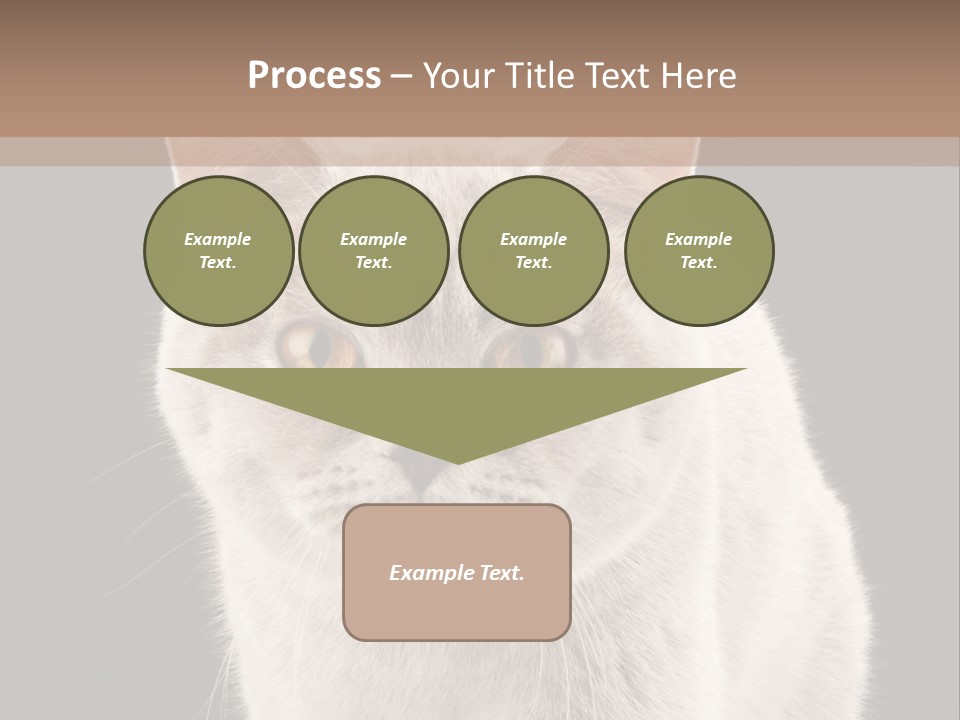 Humor Nobody Young PowerPoint Template