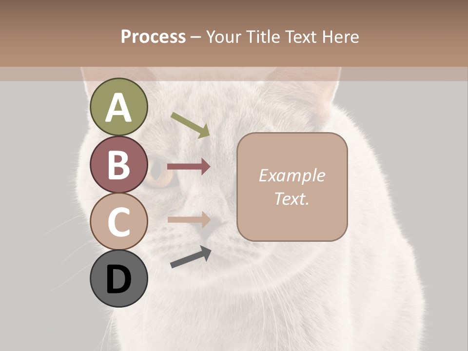 Humor Nobody Young PowerPoint Template