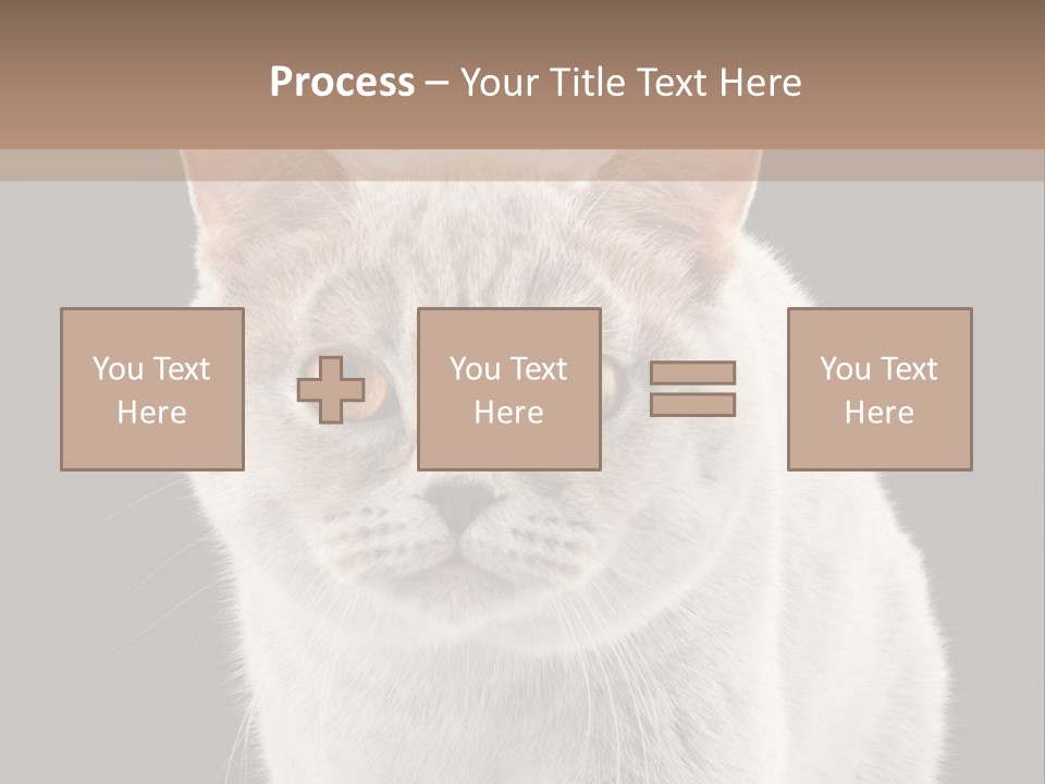 Humor Nobody Young PowerPoint Template