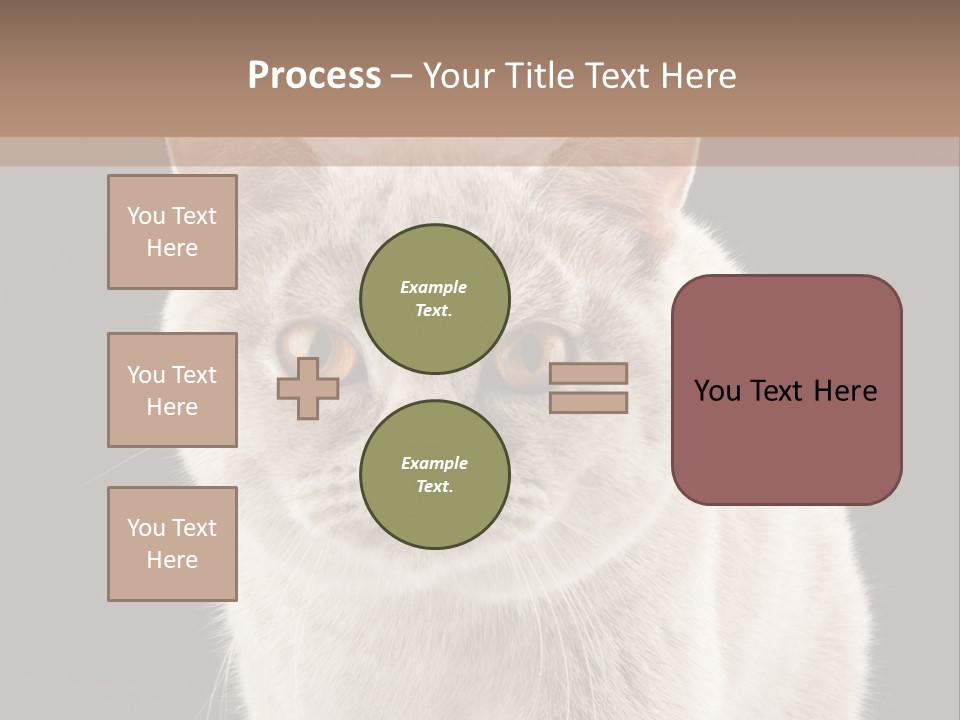 Humor Nobody Young PowerPoint Template