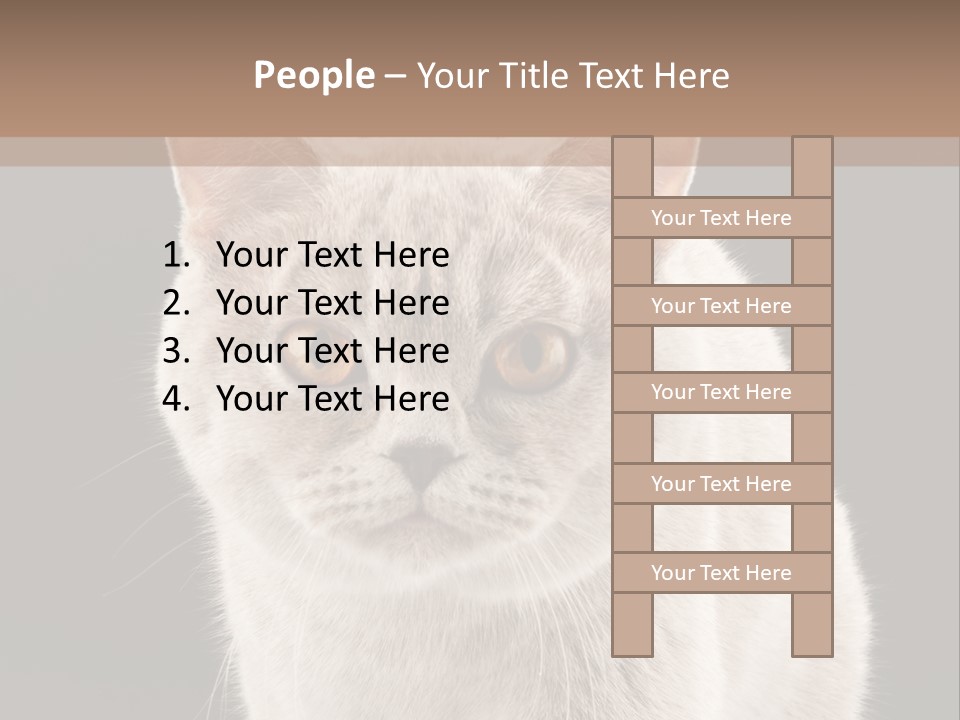 Humor Nobody Young PowerPoint Template