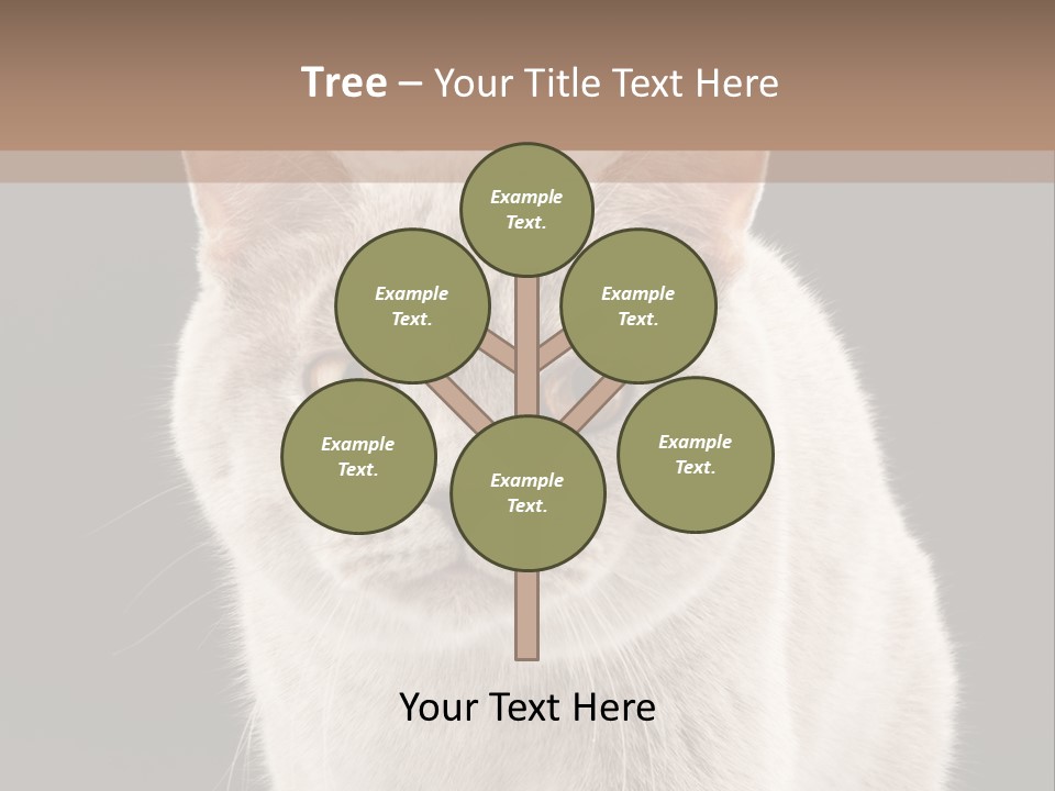 Humor Nobody Young PowerPoint Template